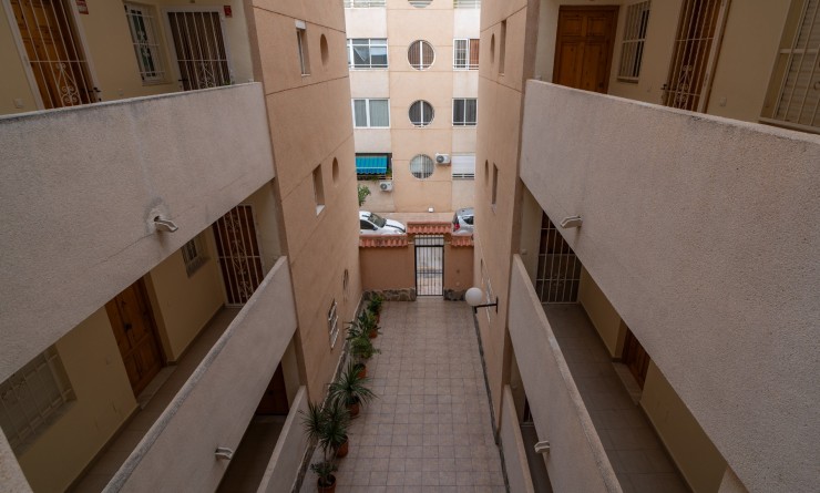 Revente - Apartment / flat - Torrevieja - La Siesta - El Salado -  Torreta