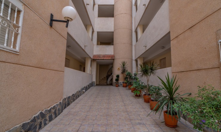 Revente - Apartment / flat - Torrevieja - La Siesta - El Salado -  Torreta