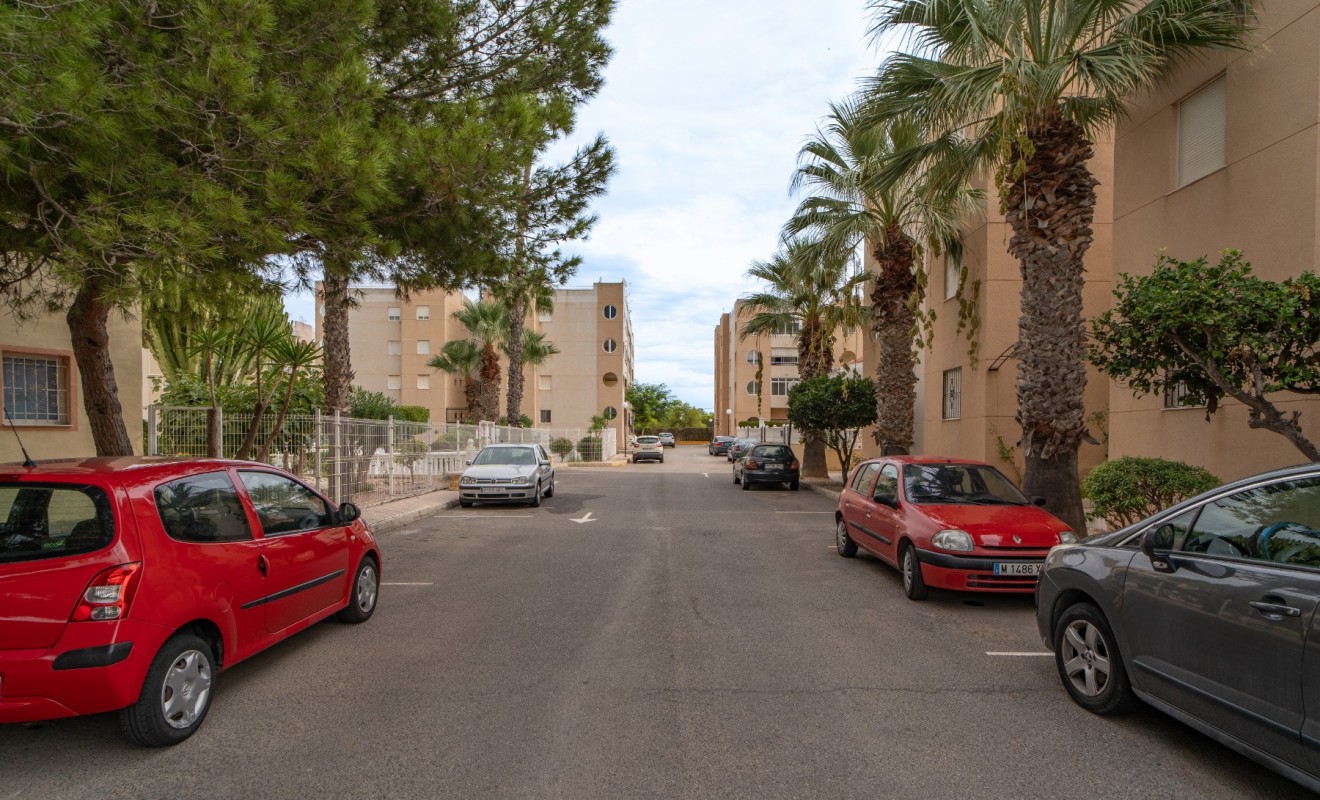 Revente - Apartment / flat - Torrevieja - La Siesta - El Salado -  Torreta