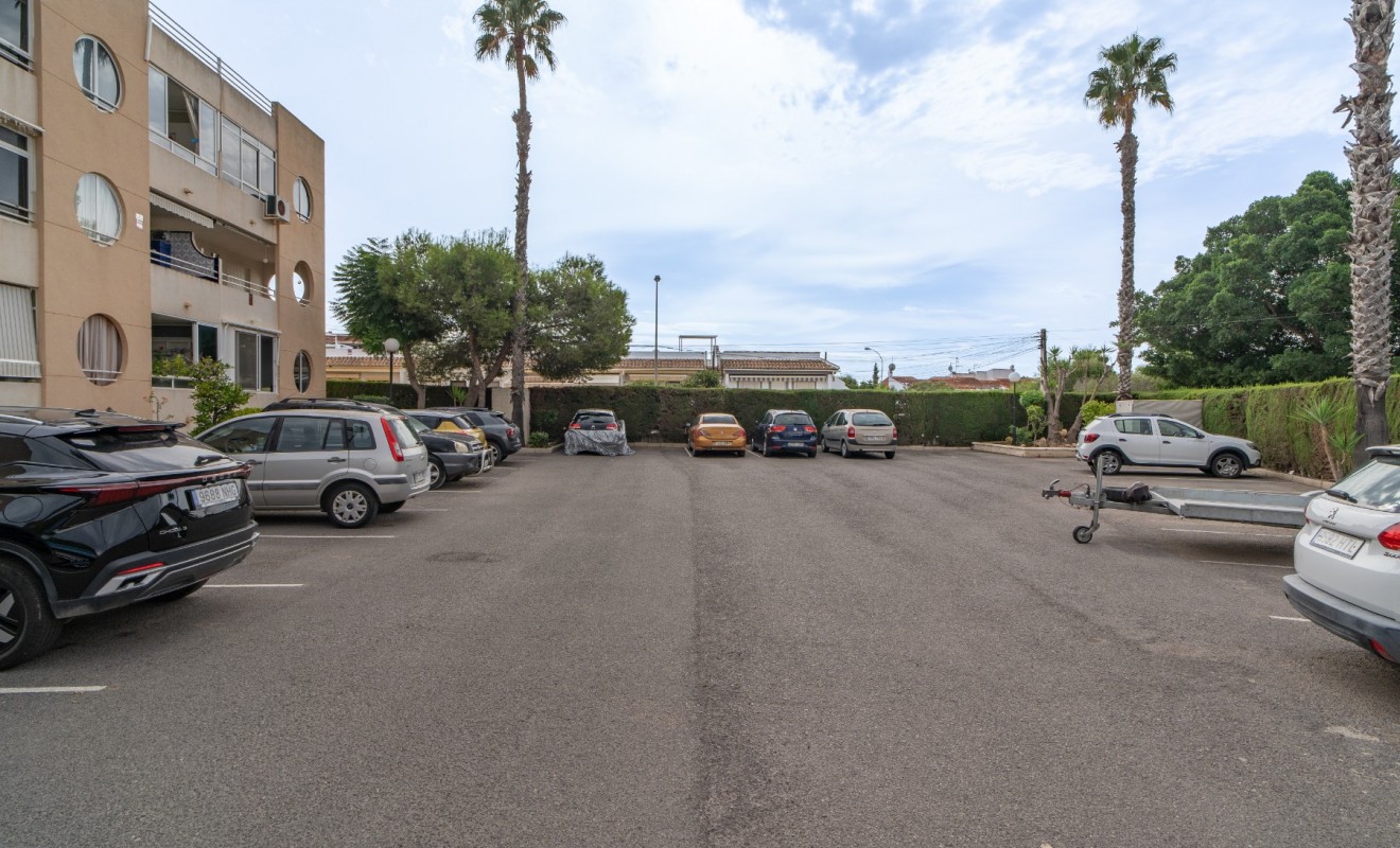 Revente - Apartment / flat - Torrevieja - La Siesta - El Salado -  Torreta