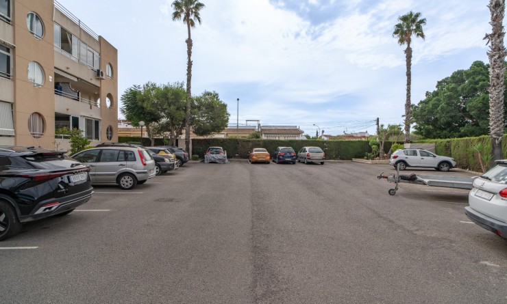 Revente - Apartment / flat - Torrevieja - La Siesta - El Salado -  Torreta