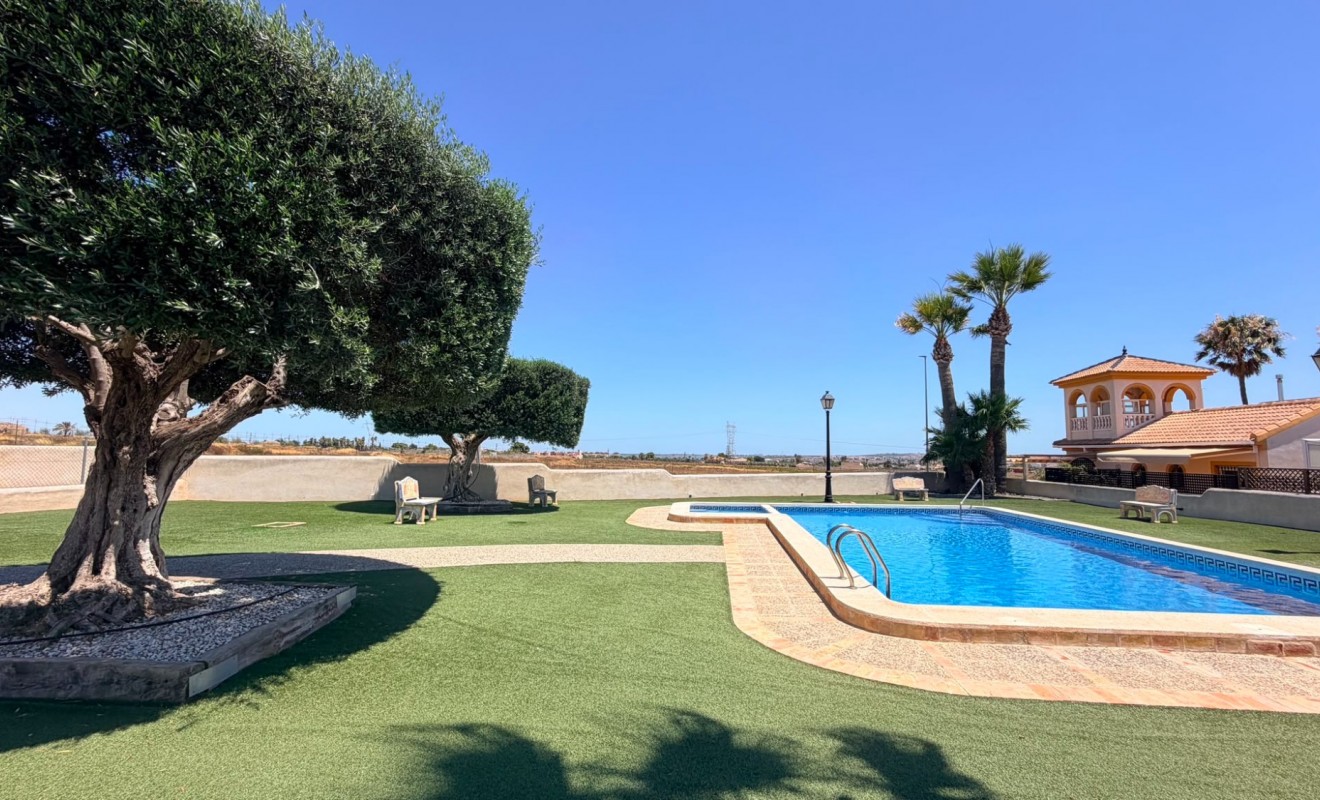 Sale - Semi Detached Villa - Los Montesinos - Urbanizacion montesol