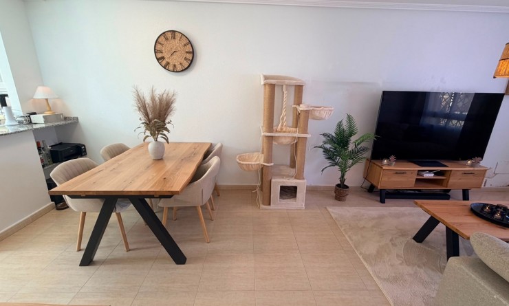 Sale - Semi Detached Villa - Los Montesinos - Urbanizacion montesol