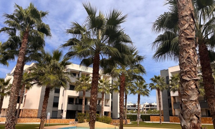 Sale - Apartment - Los Altos