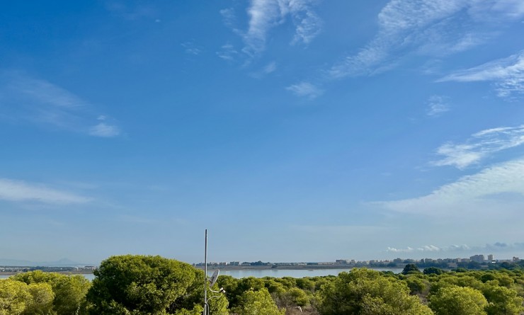 Revente - Maison de ville - Torrevieja - torrevieja