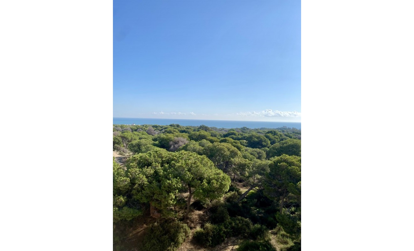 New Build - Apartment - Guardamar del Segura - guardamar del segura