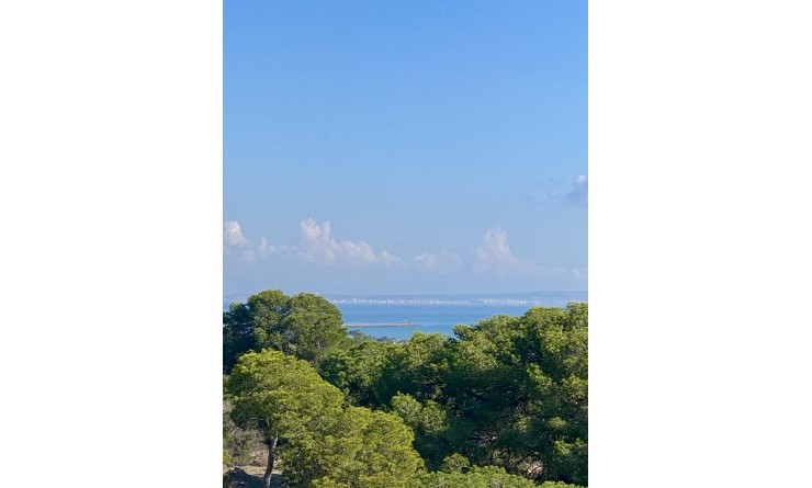 New Build - Apartment - Guardamar del Segura - guardamar del segura