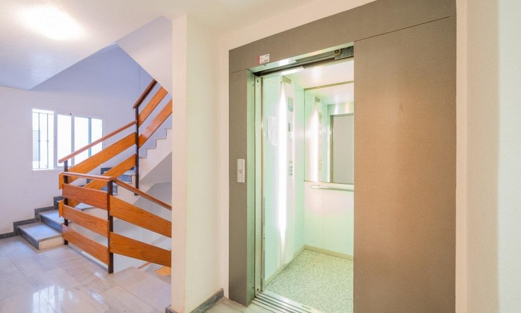 Wederverkoop - Penthouse - Torrevieja - Centro