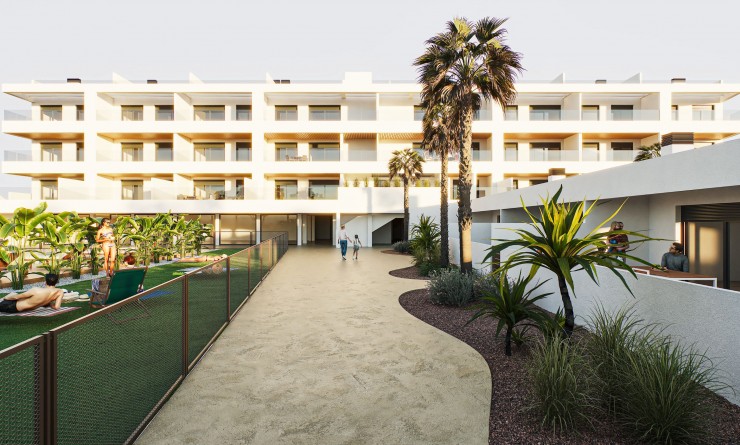 Nouvelle construction - Appartement - Torrevieja - torrevieja