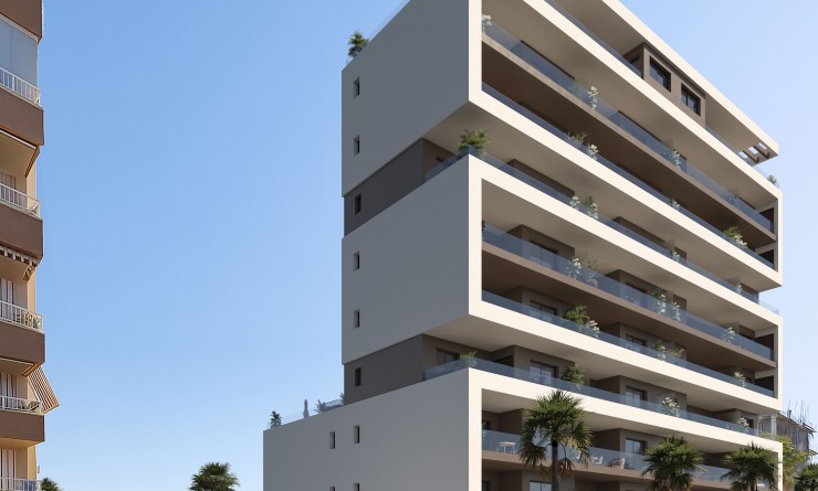 New Build - Apartment - Guardamar del Segura - guardamar del segura