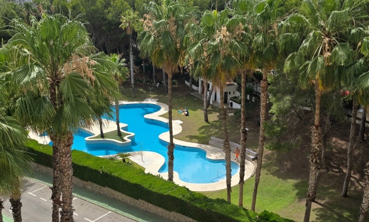 Sale - Apartment / flat - Orihuela Costa - Dehesa de campoamor